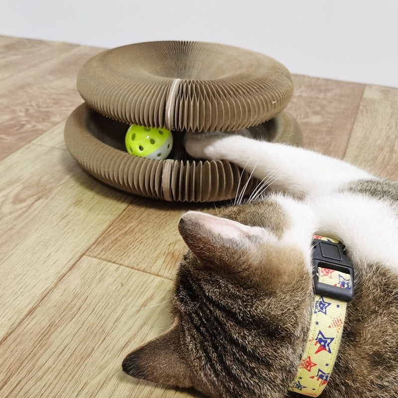Brinquedo Interativo Para Gatos I Cat Joy + 1 Bola de Brinde 0 LOJA 