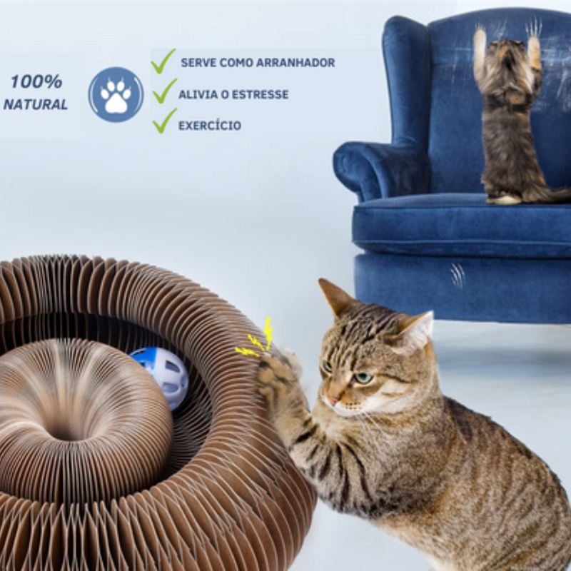 Brinquedo Interativo Para Gatos I Cat Joy + 1 Bola de Brinde 0 LOJA 